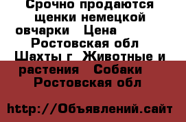 Срочно продаются щенки немецкой овчарки › Цена ­ 5 000 - Ростовская обл., Шахты г. Животные и растения » Собаки   . Ростовская обл.